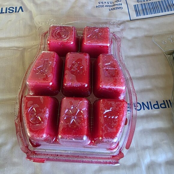 Scentsy wax bars Lot Of Three Disney & friends, Lady & Tramp, Iced Pine Scents - Picture 7 of 8